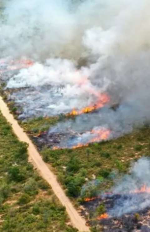 Governo decreta emerg&ecirc;ncia ambiental em MS para enfrentamento aos inc&ecirc;ndios florestais