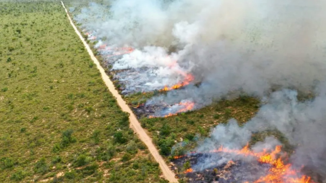Governo decreta emerg&ecirc;ncia ambiental em MS para enfrentamento aos inc&ecirc;ndios florestais