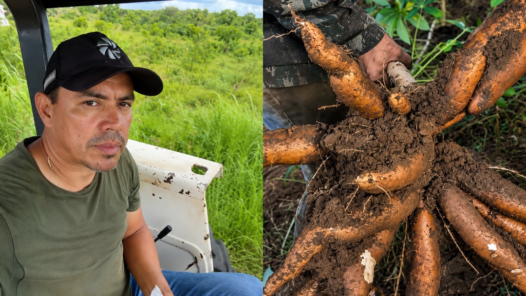 Entre a C&acirc;mara e a agroind&uacute;stria, vereador ind&iacute;gena transforma produ&ccedil;&atilde;o de mandioca em fonte de renda para fam&iacute;lias da Aldeia 10 de Maio