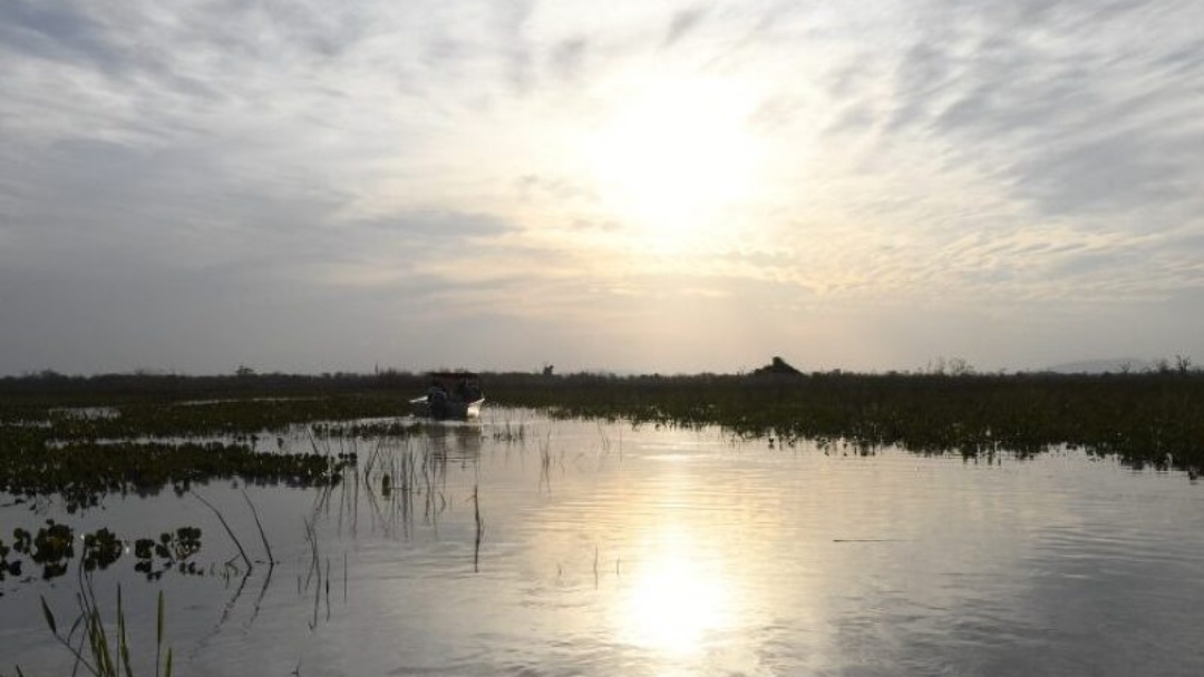 Ventos fortes e variação de temperaturas marcam previsão em Mato Grosso do Sul