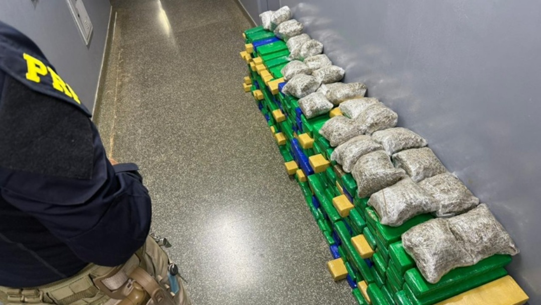 PRF apreende 879 quilos de maconha e skunk em duas ocorrências na BR-060