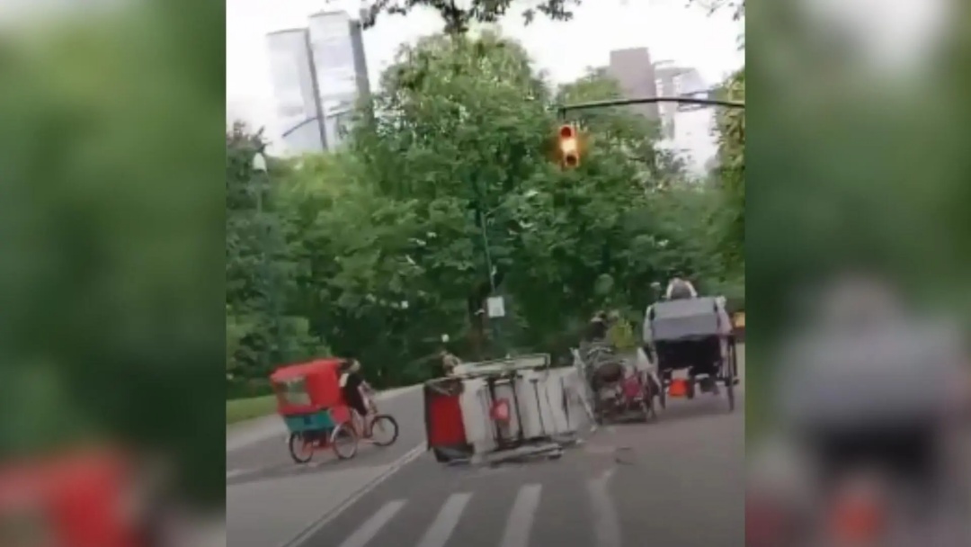 Indiano de 18 anos morre ap&oacute;s cair de charrete no Central Park, em NY