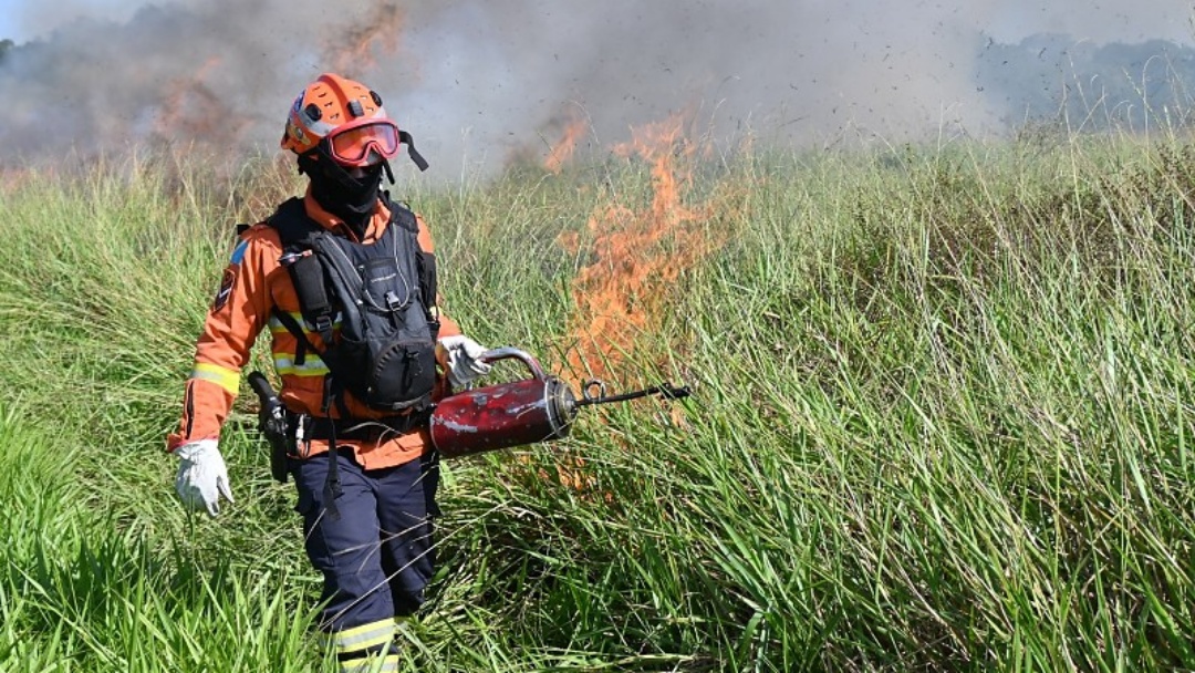 Mato Grosso do Sul se prepara para temporada de incêndios com ações preventivas