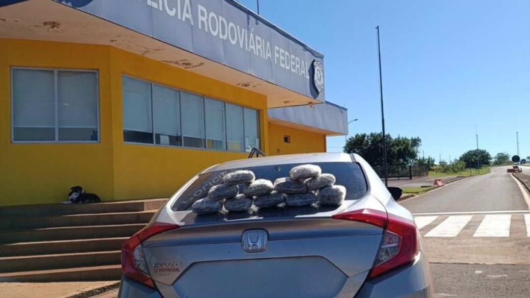 Mulher é presa com 50 quilos de skunk enquanto viajava com a filha menor