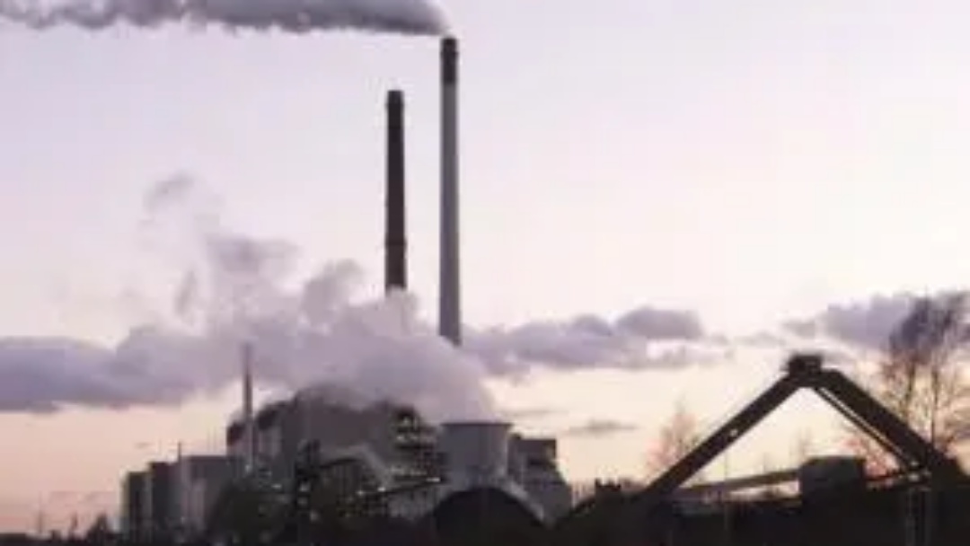 Governo de MS publica edital de 80 milhões de dólares para venda de carbono
