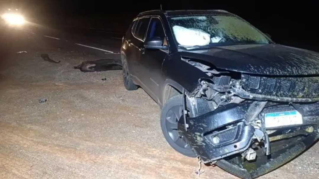 Jeep Compass fica com frente destru&iacute;da ao colidir com anta na BR-267