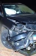 Jeep Compass fica com frente destru&iacute;da ao colidir com anta na BR-267
