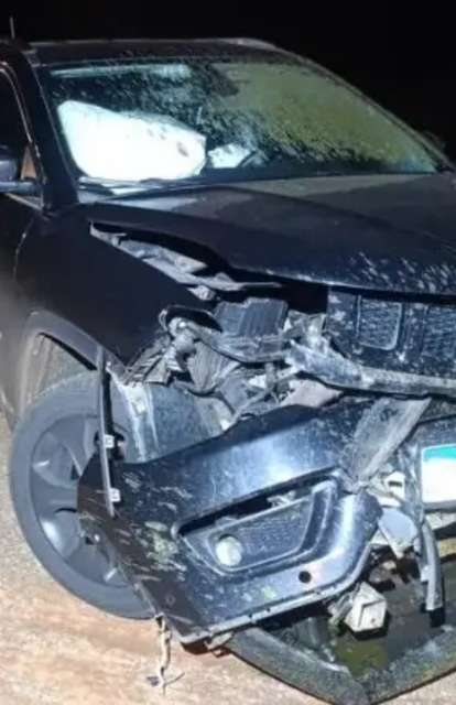 Jeep Compass fica com frente destru&iacute;da ao colidir com anta na BR-267