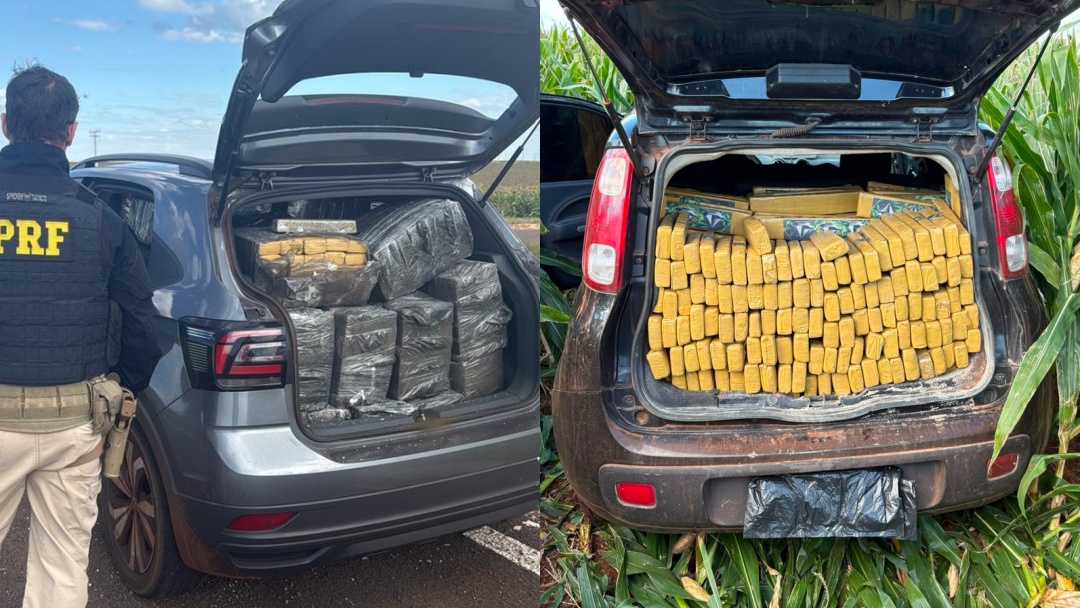 Mais de 2 toneladas de maconha são apreendidas em Sidrolândia e região; homem também é preso por tráfico
