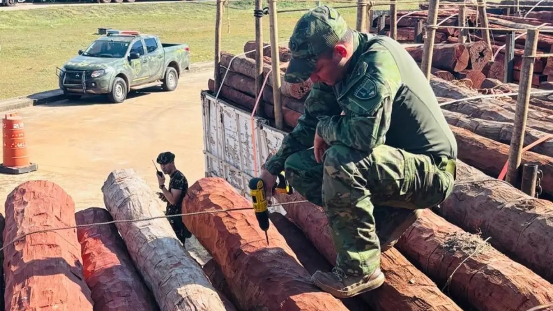Apreens&atilde;o recorde de coca&iacute;na teria como destino os EUA  