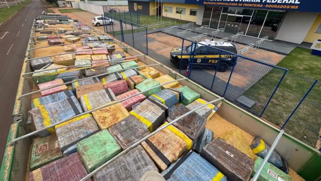 PRF apreende mais de seis toneladas de maconha escondidas em carga de soja
