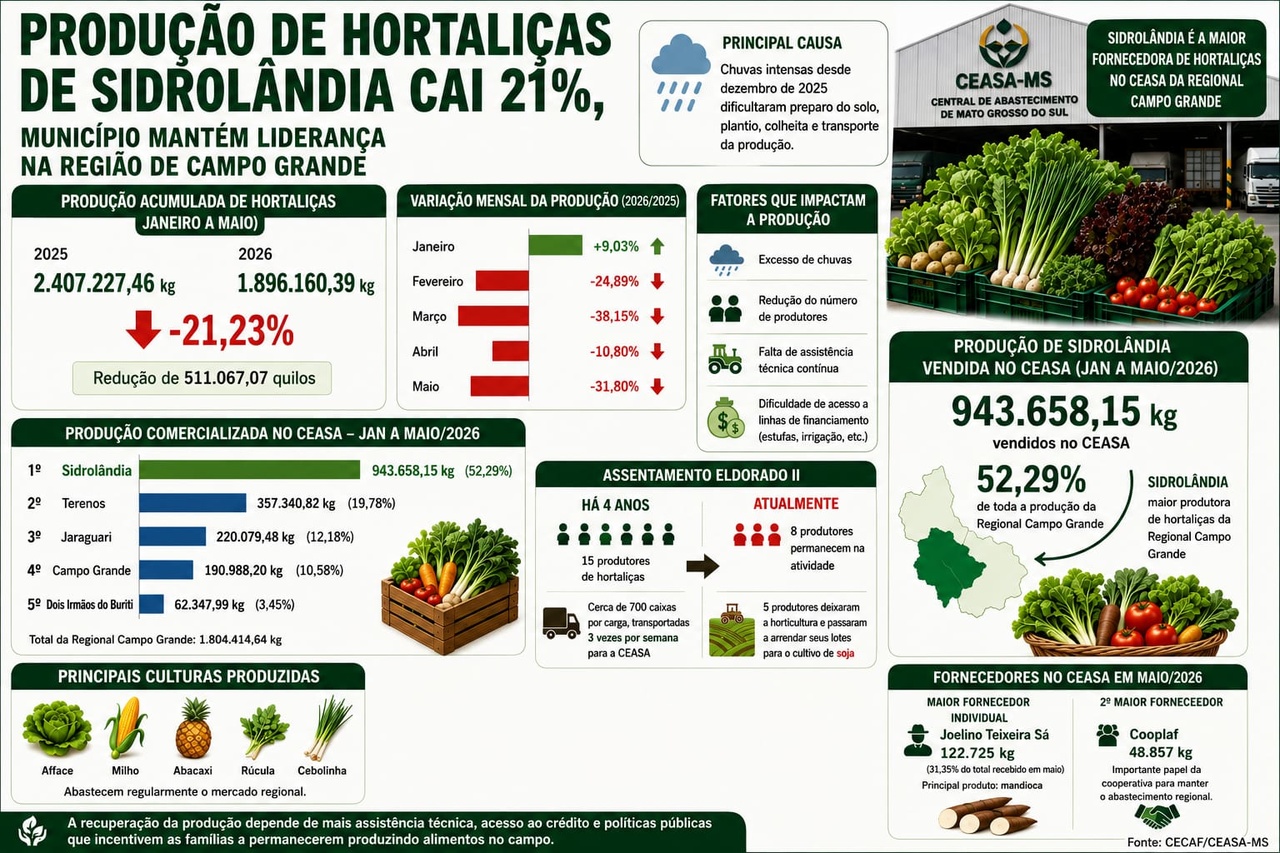 Produção da agricultura familiar cai 21%, mas Sidrolândia mantém liderança em vendas no Ceasa