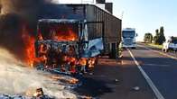 Caminh&atilde;o pega fogo e motorista solta bois na MS-395 entre Anauril&acirc;ndia e Bataguassu