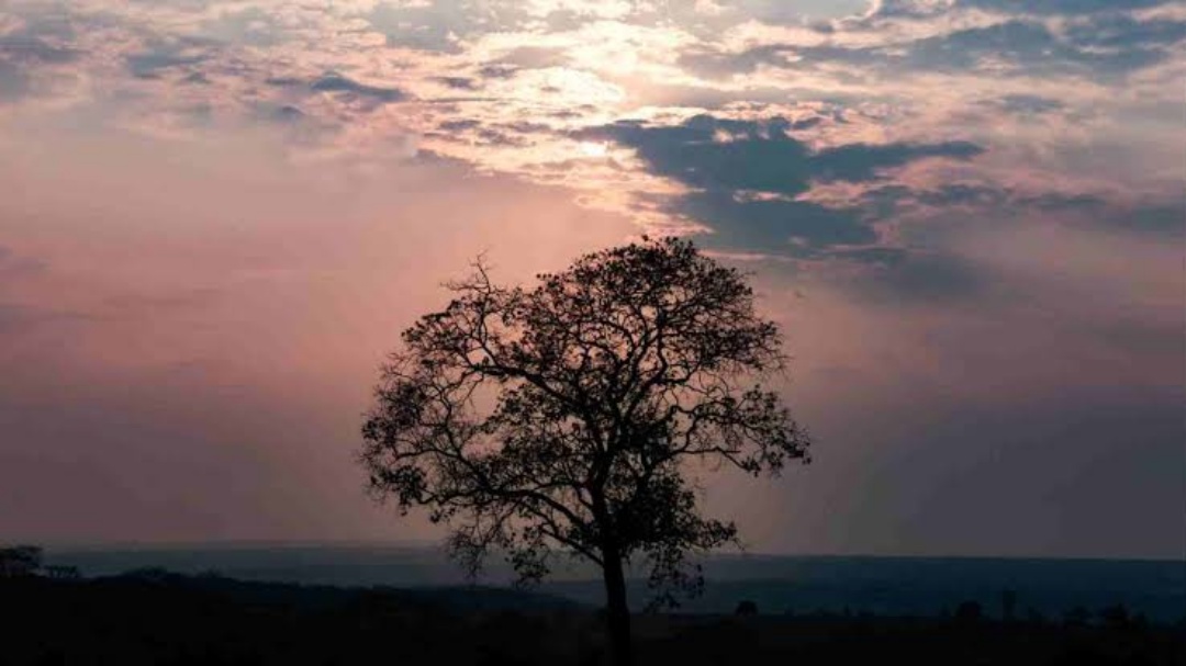 Sábado será de tempo firme e temperaturas amenas em Mato Grosso do Sul e Região