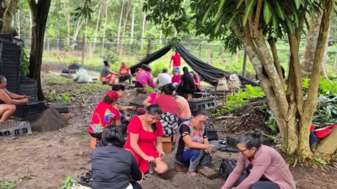 Mulheres da Amazônia enfrentam mudanças climáticas