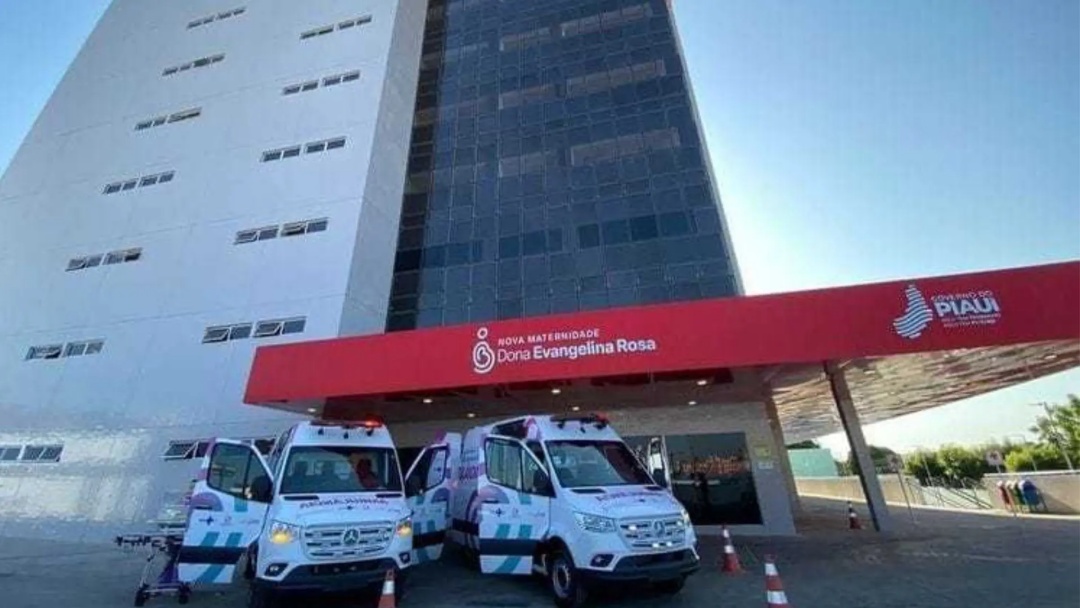Técnica de enfermagem é presa após tentar sequestrar recém-nascida de maternidade no Piauí