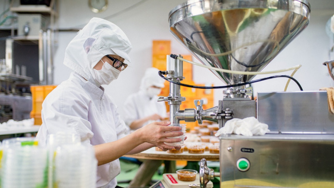 Mato Grosso do Sul se destaca no Brasil com alta da produção industrial em 2026