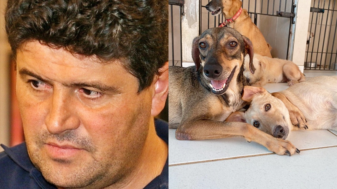 Ao acusar reportagem de 'fake news', prefeito acaba desmentido pelos fatos, reconhece atraso e faz doação de R$ 100 ao abrigo dos animais