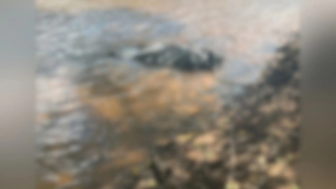 Trabalhador que desapareceu em draga de areia é encontrado morto
