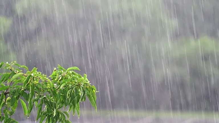 Quarta-feira ter&aacute; risco de temporais e queda nas temperaturas em Mato Grosso do Sul