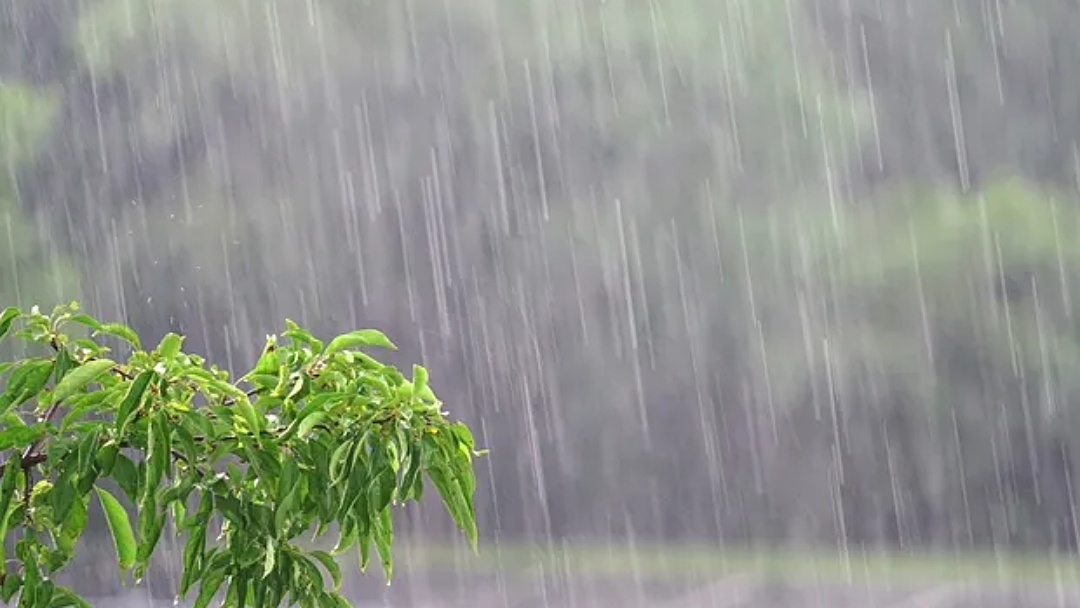 Quarta-feira ter&aacute; risco de temporais e queda nas temperaturas em Mato Grosso do Sul