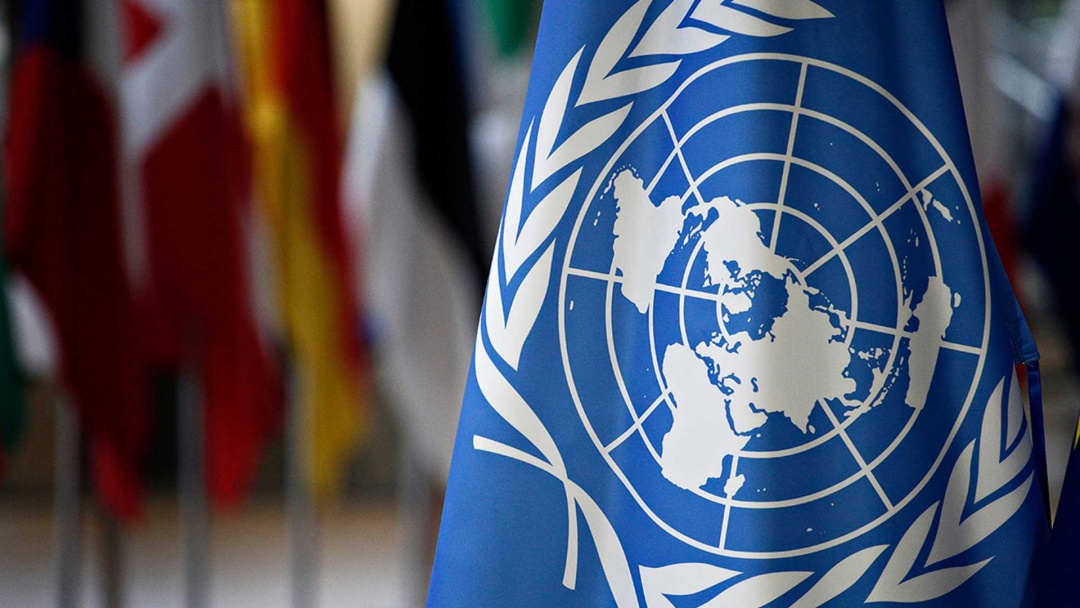 Fome mundial atinge 645 milhões de pessoas, diz relatório da ONU