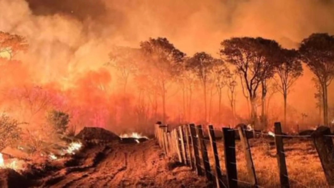 Sem chuva e com baixa umidade do ar, &aacute;rea queimada no Pantanal aumenta 770% em 2026