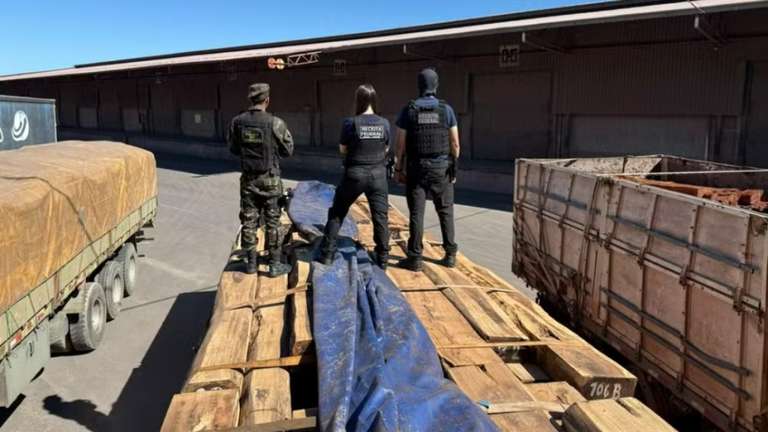 Receita quer 2&ordm; laudo para liberar carga de madeira que teria coca&iacute;na   