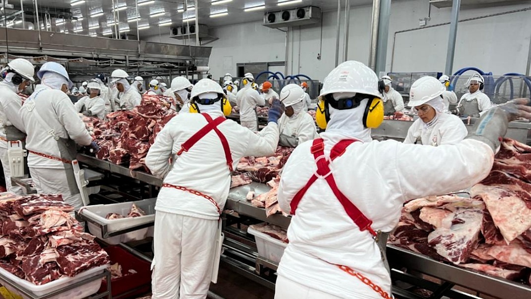 Frigor&iacute;ficos reduzem at&eacute; 40% dos abates em MS diante de press&atilde;o do mercado